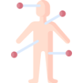 Musculoskeletal system