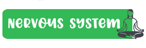 Nervous system