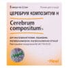 Cerebrum Compositum